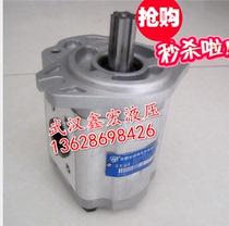 (Supply) Hefei hydraulic pump CBTA-F414-AFφ9 gear pump CBTA-F416-AFφ9