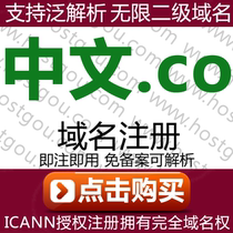Chinese co domain name registration Support pan resolution Unlimited second-level domain name rice Chinese company website purchase