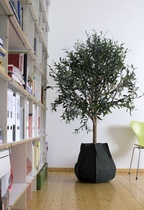 German order Urban Series living room Large size vase modern simple balcony flower pot creative import