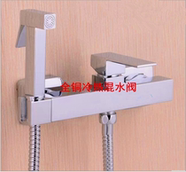 Original German brand all copper hot and cold water Women washer copper shower faucet toilet spray gun set mixing valve