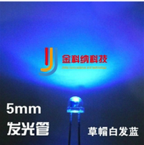 5MM straw hat LED blue white hair blue light LBD with bright short feet RMB25  K