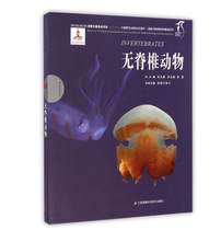 National Zoological Museum Fine Research-Invertebrates