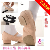 Chen Ting with canvas teacher shoes soft two-soled dance shoes exercise shoes belly dance shoes ballet shoes