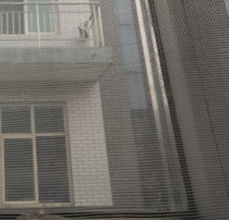 Screen screen screen screen screen screen screen simple breeding net insect-proof mesh cloth anti-mosquito screen nylon