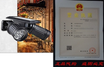 Vinus Solar Powered Lights PIR Motion Sensor Dual Head Spot