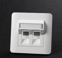 Supply 86 type network panel information panel double-Port ampu style oblique panel can be OEM OEM