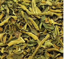 Chinese herbal medicine Chinese herbal medicine cold back fig leaf 500g