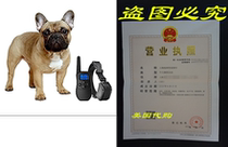 Shock Collar for Small Dogs with Remote   FREE Dog Clicker