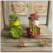 Simulation of succulents with Huabao Lotus succulent plants Micro landscape plant simulation flowers simulation plants