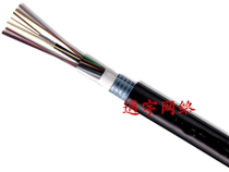 Outdoor multimode optical cable 4-core multimode outdoor optical fiber four-core multimode outdoor optical cable