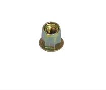 Full hexagonal riveting nut 100 only carbon steel colour zinc pull riveting nut quantity large from excellent