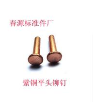 Solid rivets Flat head semicircular head countersunk head flat cone head copper rivets M3*4 M4*8*30 Factory direct sales