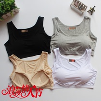 Model punched a small vest with a breast mat short bra sports yoga bra wrapped in chest