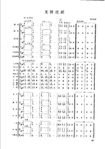 Longteng Tiger Yuezhu Folk Music Ensemble Finale