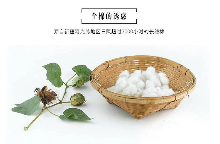 ins gió đỏ ròng bông rửa denim bông trải giường chăn bông Bắc Âu giường đôi đơn giản - Bộ đồ giường bốn mảnh