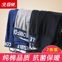 Arctic velvet autumn pants Mens cotton thin leggings Spring and autumn youth tight pants Autumn and winter mens cotton warm pants