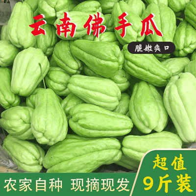 Yunnan Буддийская тыква дыня дыня дыня Hermore Fushou Свежие овощи 5 фунтов чистого веса 5 фунтов бесплатной доставки 10