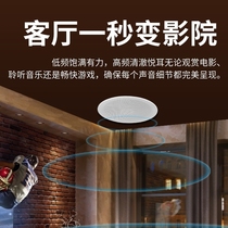 Qisheng embedded home theater audio 5 1 Living room ceiling ceiling speaker subwoofer K song