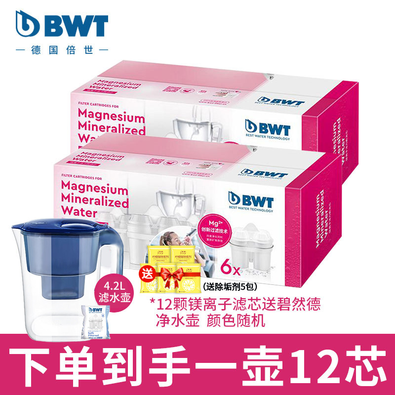 Beishi BWT filter element German water purification kettle filter kettle water purifier general Birande imported magnesium ion filter element