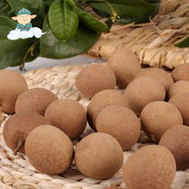 Dried longan special new product longan dried longan with Shell Fujian Putian specialty longan meat non-nuclear farmhouse sulfur-free soaking water