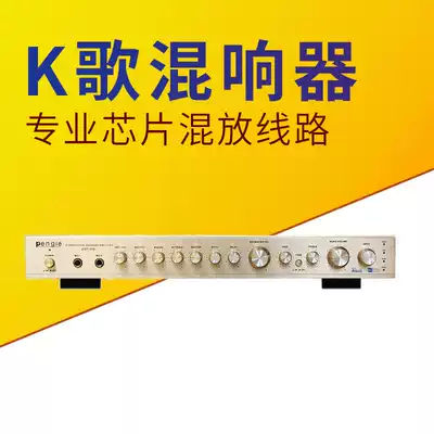 DSP868 KTV singing mixer front effect