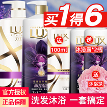 Lux shampoo shower gel set shampoo long-lasting fragrance shampoo Family conditioner men and women