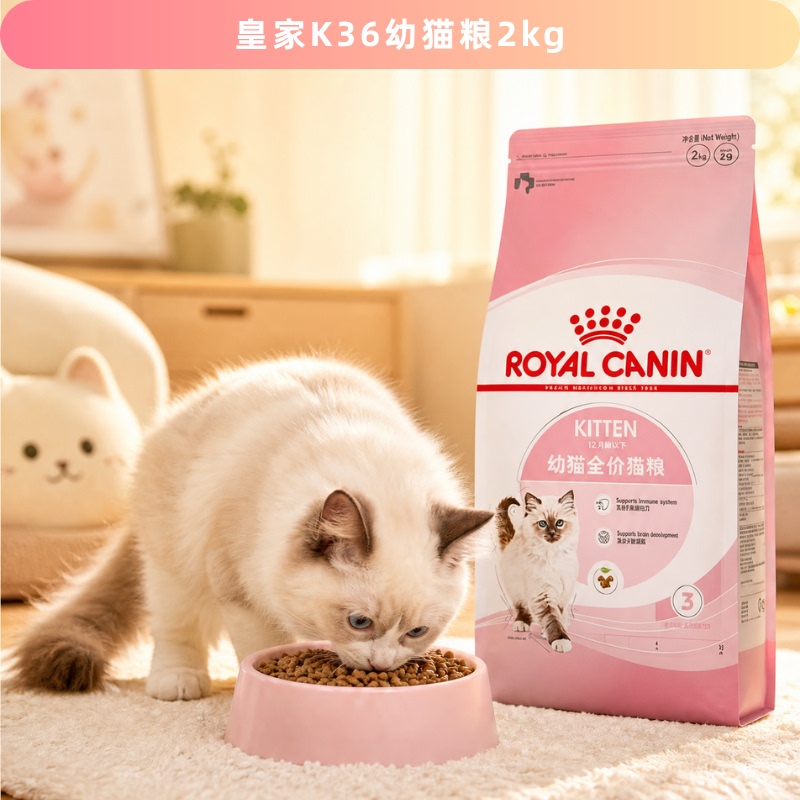 Royal Canin/Royal Cat Food K36Bk34 General Purpose Kitten Food 2kg Kitten Complete Food Nutritional Food Royal Canin/Royal Cat Food K36Bk34 General Purpose Kitten Food 2kg Kitten Complete Food Nutritional Food