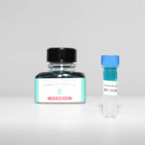 0 5ml test color package) j herbin d series pen ink 35 color 0 5ml touchdown dress