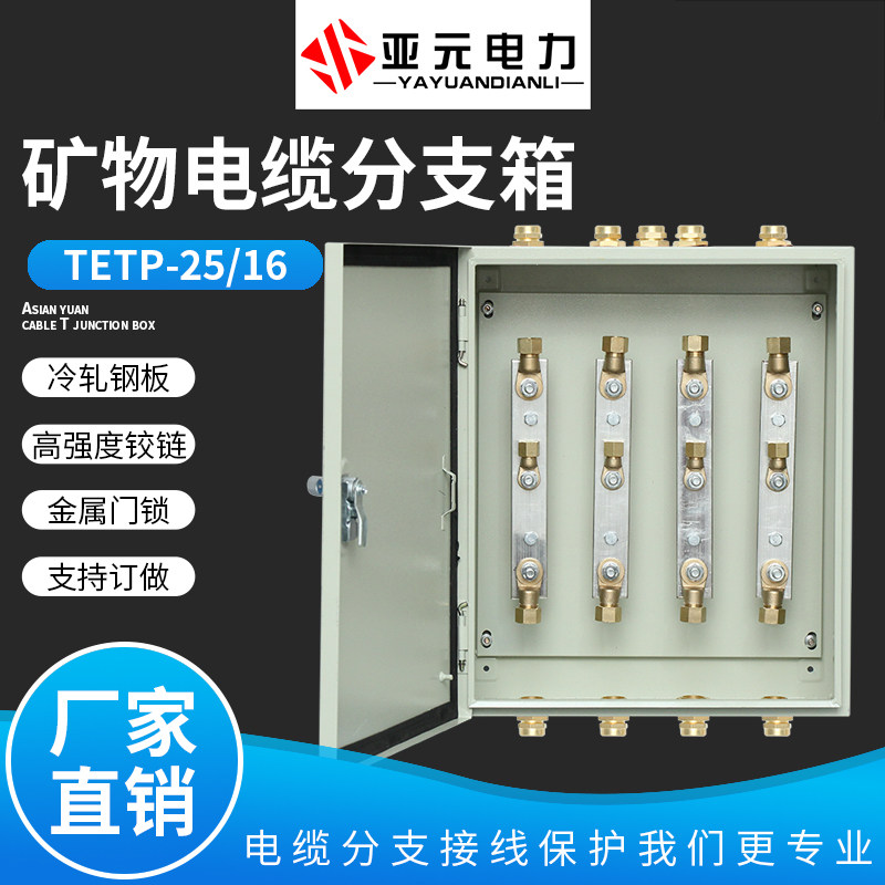 BTTZ rigid mineral insulated fireproof cable branch junction box 1KV low voltage YTTW copper row distribution T junction box