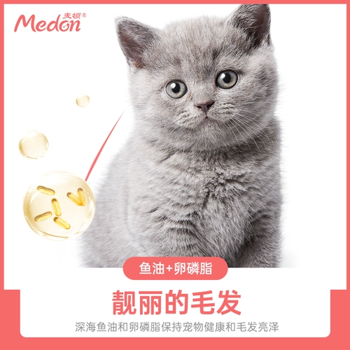 Macin Cat Food становится котятом для увеличения пищевого сыра, общего типа 1,5 кг рыбного вкуса кошка Главная закуска натуральная еда