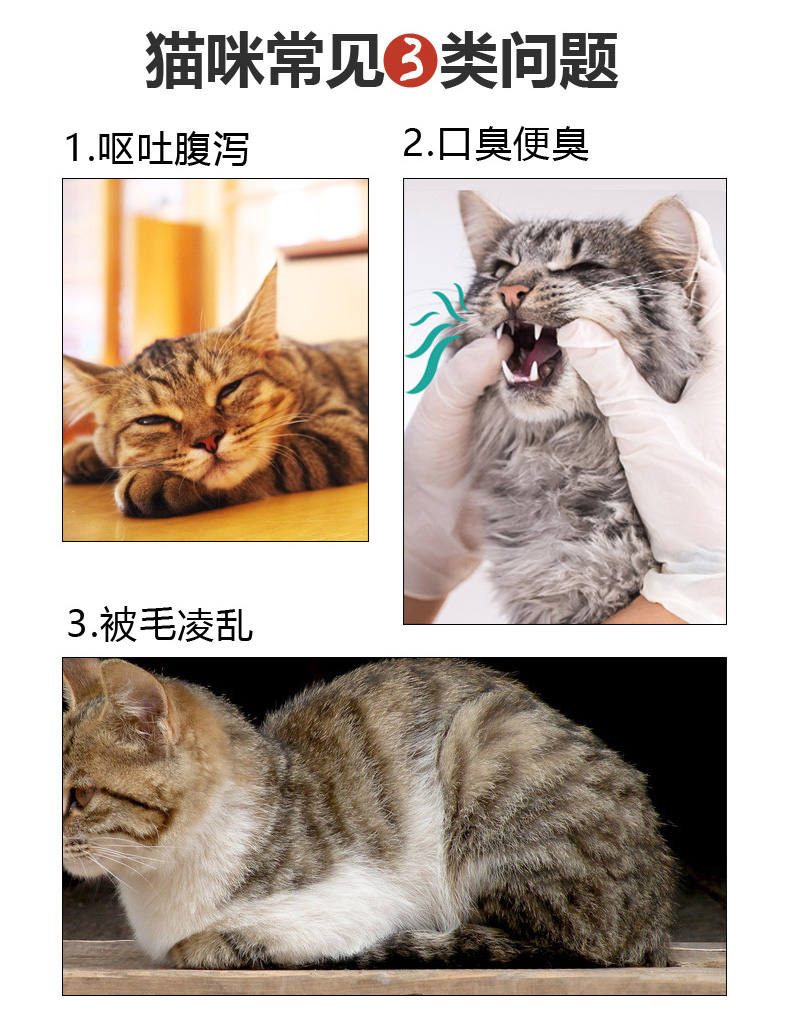 Thức ăn cho mèo Maiton thành mèo con mèo con mèo có vẻ đẹp tổng quát ngắn Anh mèo xanh ngắn cá hồi gà tươi ngon thức ăn cho mèo 2,5kg - Cat Staples hạt cateye