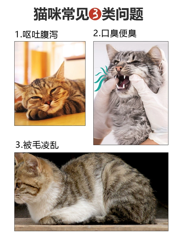 Thức ăn cho mèo Maiton thành mèo con mèo con mèo có vẻ đẹp tổng quát ngắn Anh mèo xanh ngắn cá hồi gà tươi ngon thức ăn cho mèo 2,5kg - Cat Staples