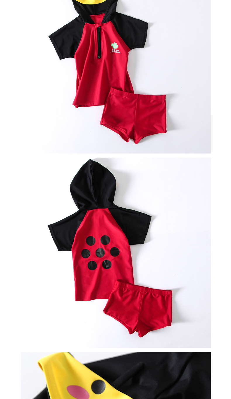 Đồ bơi trẻ em hàn quốc Quần boxer trẻ em mùa xuân hot boy boy phim hoạt hình chia áo tắm cho bé - Bộ đồ bơi của Kid quần áo bơi cho bé gái