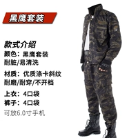 Комплект, куртка, штаны, черный орел