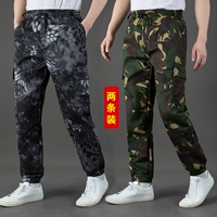 Черный манг+зеленый цветок [две упаковки] дерево