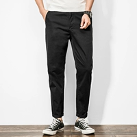 Черный [Умеренный весна и осенний период]