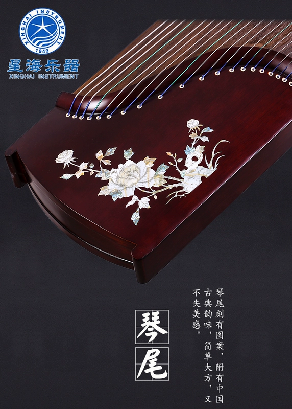 Bắc Kinh Xinghai Guzheng Hardwood Guzheng Giới thiệu về người mới bắt đầu dạy nhạc cụ Guzheng - Nhạc cụ dân tộc