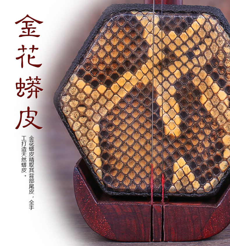 Vòi sandal đỏ Yuehu (người Chiết Giang) chính Hu Yue opera erhu Tô Châu nhạc cụ dân tộc - Nhạc cụ dân tộc sáo huyên