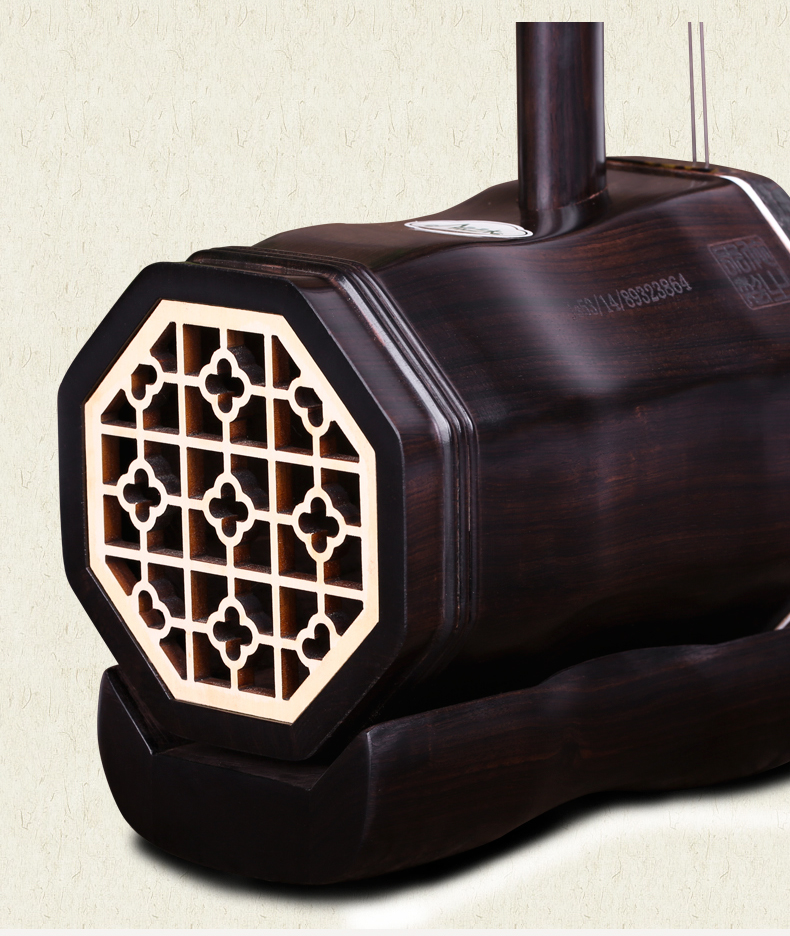 Ebony Hu Hu Erhu Nhạc cụ Erhu chấm điểm học đàn piano Cấu hình ban đầu - Nhạc cụ dân tộc đàn tỳ bà