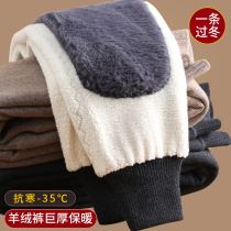 Ordos wool pants mens thickened plus velvet warm pants middle-aged and elderly high-waist cotton pants bottoming cashmere pants womens winter