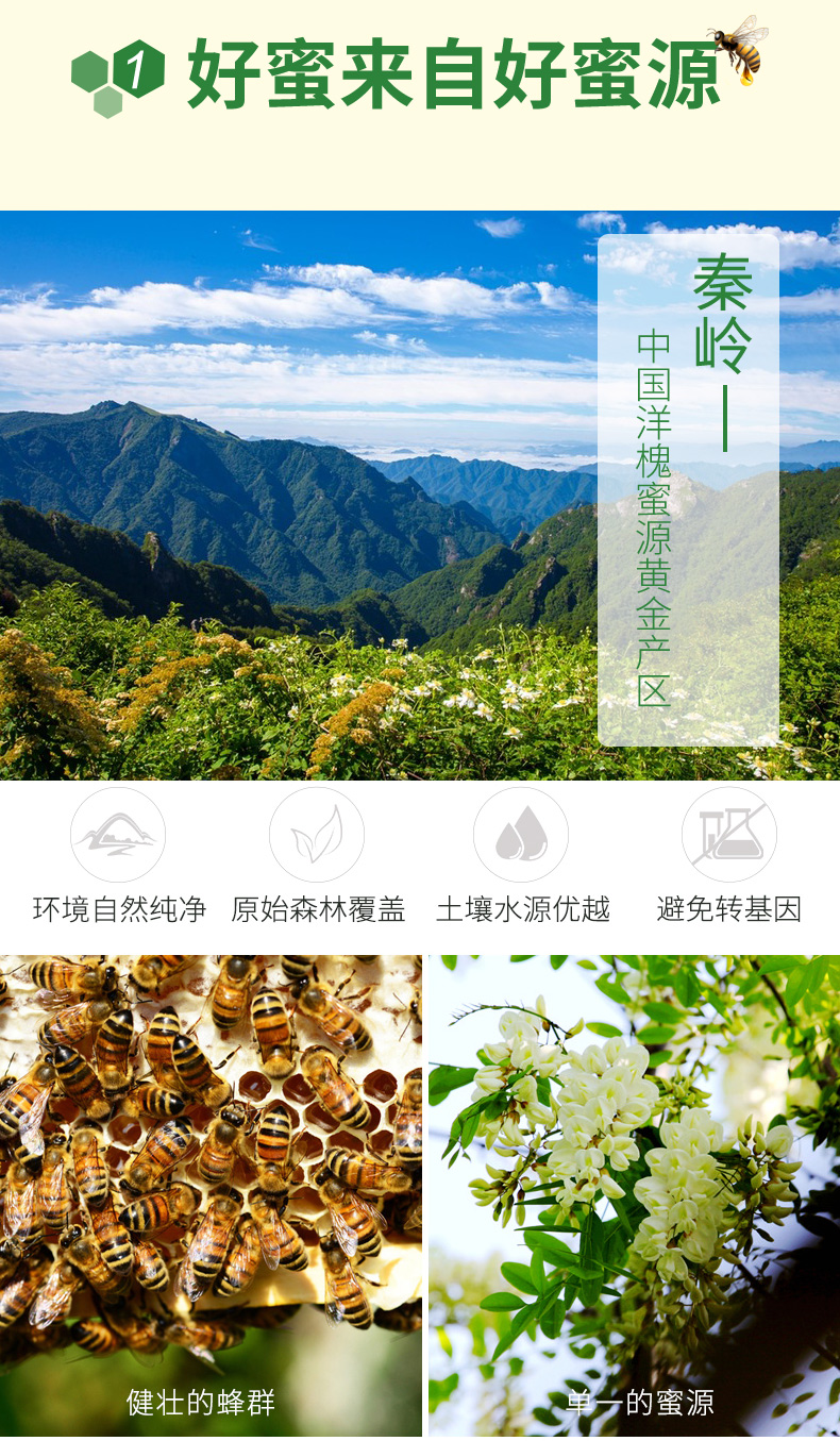 纯正天然野生农家蜂蜜槐花蜜洋槐蜜500g