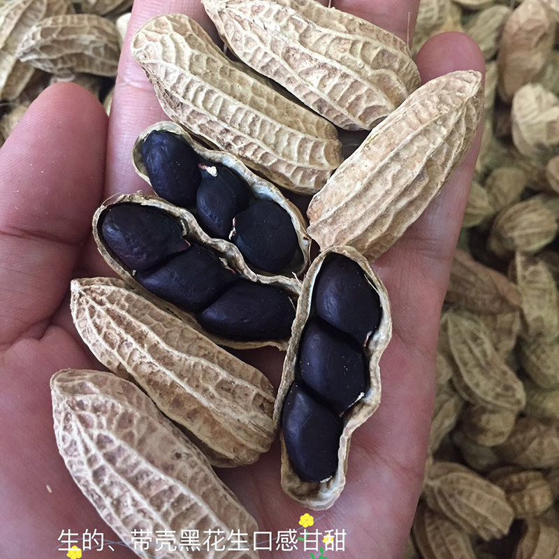 6 choices of new bulk Pu'er Zhenyuan small black peanuts rich in selenium and shelled old varieties with sweet and raw taste