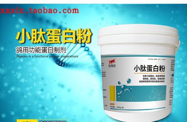 Heart to heart chim bồ câu y học thư chim bồ câu Daquan peptide protein bột nhỏ chăm sóc sức khỏe chim bồ câu cung cấp dinh dưỡng vẹt chim điều hòa - Chim & Chăm sóc chim Supplies siêu thị lồng chim