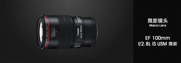 Canon Canon EF 100mm f 2.8L IS USM ống kính macro camera SLR chính hãng - Máy ảnh SLR