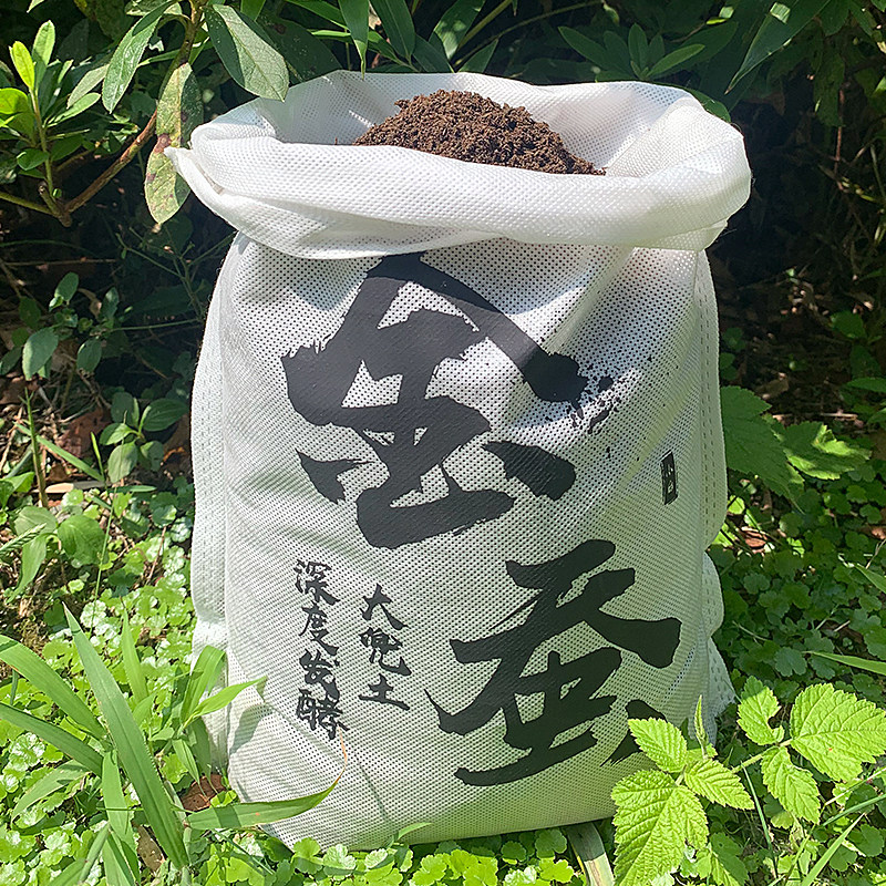 Breeding of Sawdust Beetle in Deeply Fermented Dadou Soil of Golden Silkworm