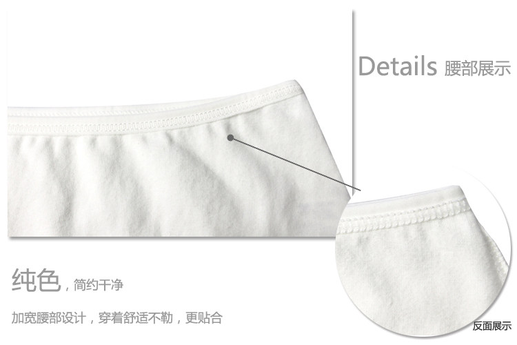 Slip Moyen-âge B1055 en coton - Ref 643786 Image 22