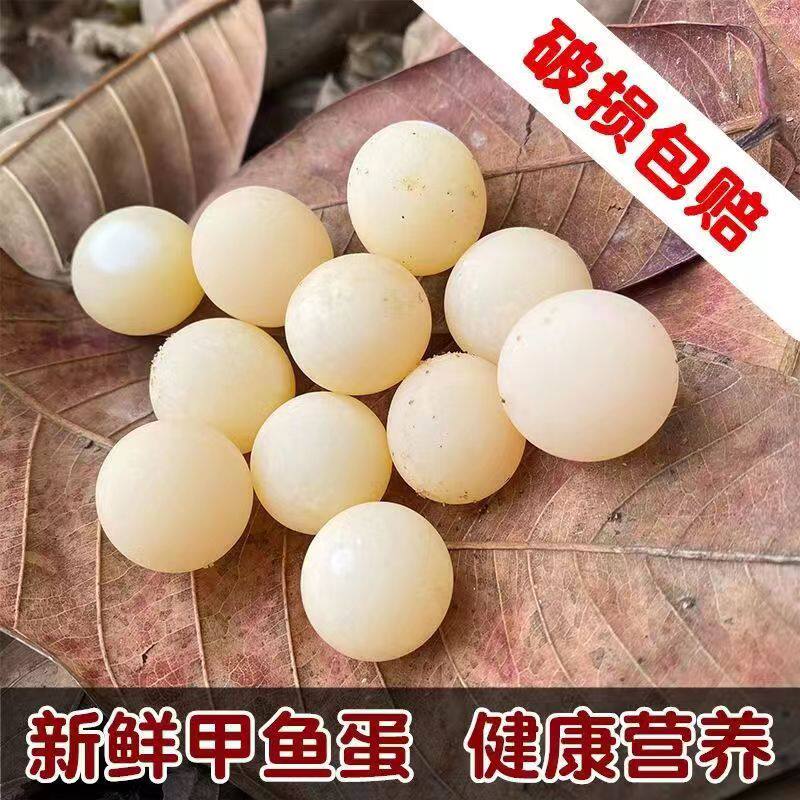 Homemade Turtle Eggs