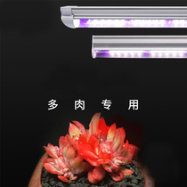 Full spectrum plant Tonic Light lamp Multi-meat lamp Home led Upper color plant lamp Growth light Sunlight Sunlight