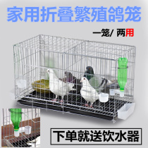 Ajouter Coque Dove Cage Pigeon Fournitures Ustensiles Portes Cage Grand poulet Accueil Pigeon Cage