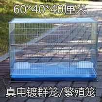 Bold weighted galvanized bird cage Parrot tiger skin Xuanfeng breeding cage Thrush starling electroplated metal bird cage